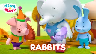 Tina & Tony  Dear Rabbits  Best episodes collection  0+ | Cartoons for Children