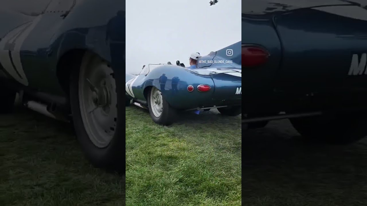 Le Mans winning 1956 Jaguar D-type | The Bad Blonde Car