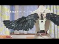 翼の付け替えが出来る簡易的なメカウィングだよ