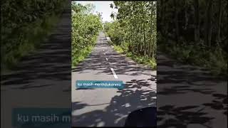 STORY WA || UNTUKMU SELAMANYA