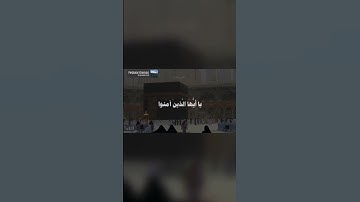 إِنَّ ٱللَّهَ وَمَلَٰٓئِكَتَهُۥ يُصَلُّونَ عَلَى ٱلنَّبِيِّۚ ( سورة الأحزاب ) محمد صديق المنشاوي