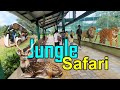 JUNGLE SAFARI - Sardar Patel Zoological Park 2024 | Statue of Unity