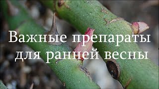 Важные препараты для ранней весны. Питомник растений Е. Иващенко
