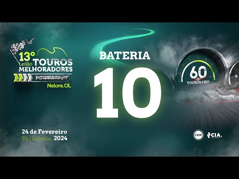 Bateria 10 - 13º Leilão de Touros Melhoradores Nelore OL - Edição Virtual