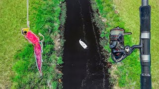 Catching 100's of Everglades Fish! (HUGE Mistake)