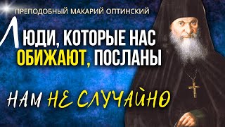 картинка: Ситуация, когда нас Обижают, является...Преподобный Макарий Оптинский