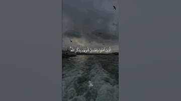 قران كريم بصوت القارئ اسلام صبحي | تلاوة خاشعة 🌾🤍 #قران #explore