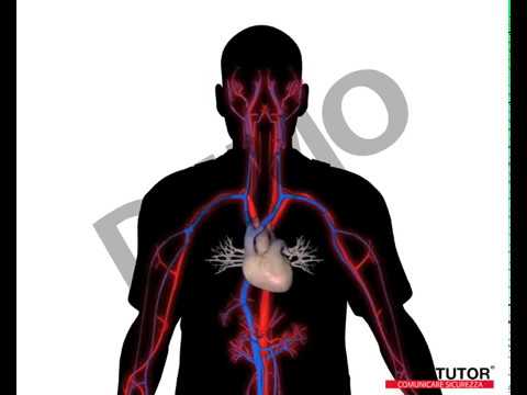 07.4 - Emorragie interne