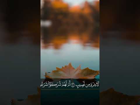 تلاوة هادئة الشيخ عبد العزيز المخيمر