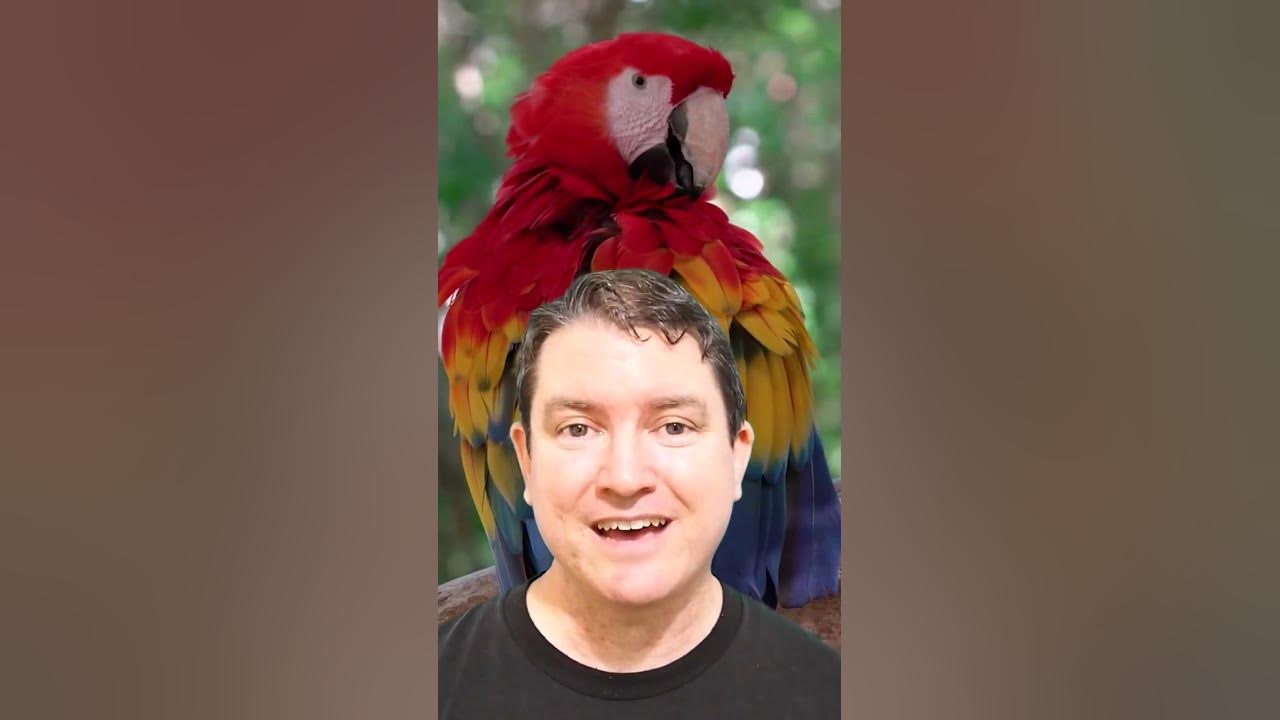 hoax-bird-or-rare-mutation-youtube