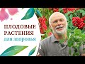 Плодовые для здоровья! Не только вкусно ,но и супер-полезно!