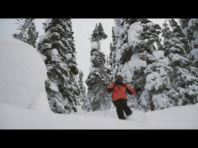 Watch Powder King with Doug #SkiNorthBC on YouTube.