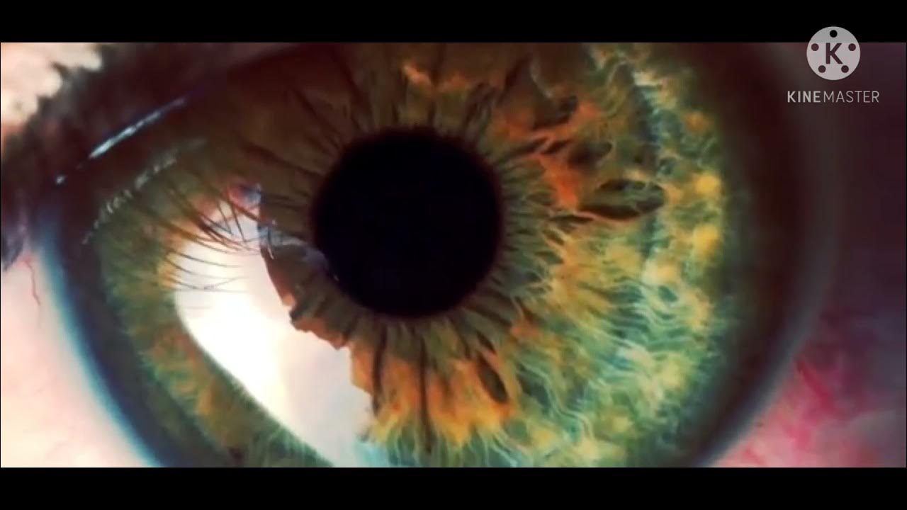 What Part Of Body Has No Blood The Only Part Of the Body That Has NO Blood Supply #Short #Facts - YouTube