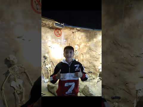 طيبه زمان قتلتها بسكينه