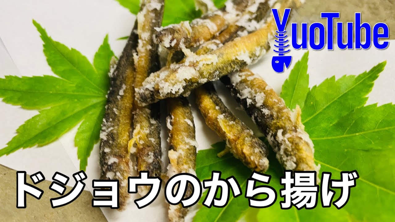 初夏 旬の走りのドジョウ から揚げをつくってみる ほろ苦いアクセントが旨い Youtube