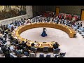 Знову Радбез ООН?  Про ситуацію в Україні? UN Security Council meeting on the situation in Ukraine.