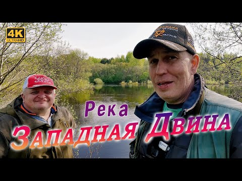 Спиннинг с берега. Река Западная Двина 2024