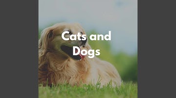 Pulsating Moods for Slumbering Pups