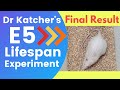 Dr Katcher&#39;s E5 Lifespan Experiment Final Result | 22% Lifespan Extension