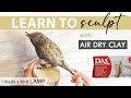 AIR DRY CLAY SCULPTURE TUTORIAL - How to Make a Bird Lamp