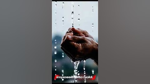 The Last Rain We Shared
