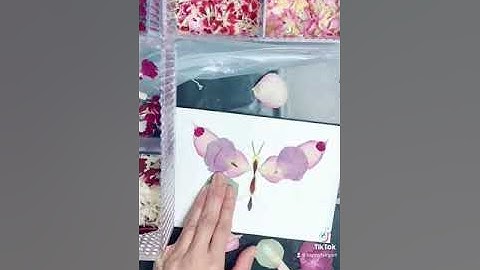 Sketching and colouring in with pressed flowers