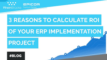 3 reasons why ERP ROI Analysis is a game-changer in any ERP discussion