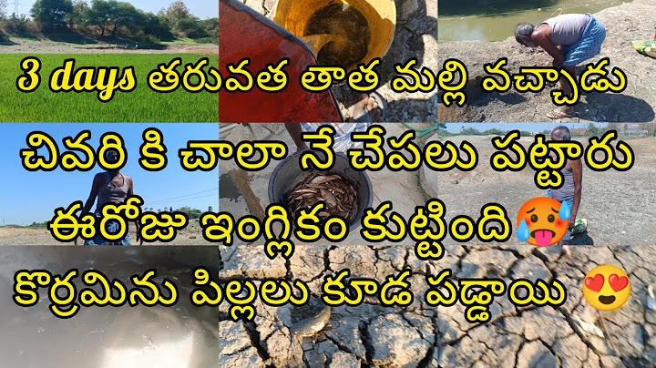#amazing ఈరోజు3days తరువత మల్లి తాత వచ్చాడు చివరికి చాలానేచేపలు పడ్డాయి కొర్రమినుపిల్లలు కూడ పడ్డాయి