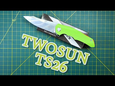 TWOSUN TS26 G10 D2, Old school with excellent action, fit n finish and ergo's. GREAT PIECE!!