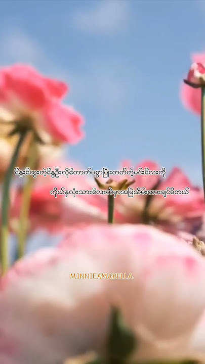 Confess to you - Lim Kim, Myanmar Translation #minnieamabella #lyrics #myanmarlyrics #music #mmsub