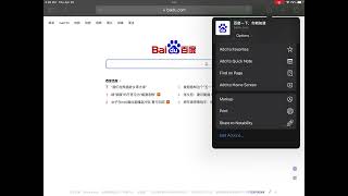 Baidu icon to ipad desktop screenshot 4