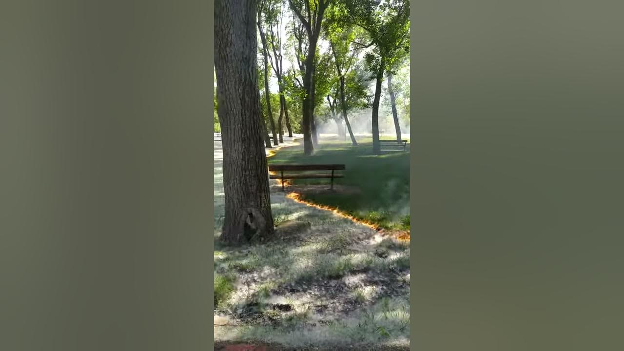 Mesmerizing Poplar Fluff Fire Sweeps Through Park ViralHog YouTube