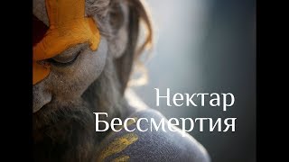 1. ПРЕДИСЛОВИЕ. «Нектар Бессмертия. Беседы о Вечном» — Н. Махарадж