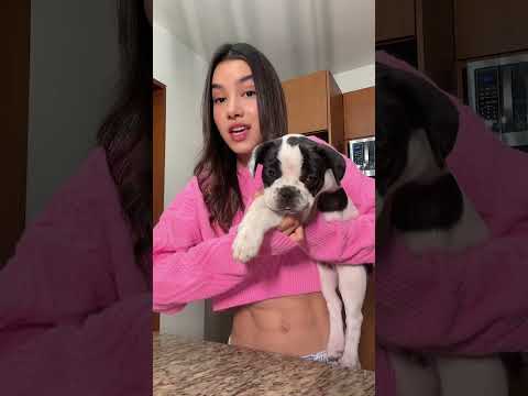 Mika va a necesitar cirugía 😕❤️ #anaemilia