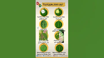 كيف تختار بطيخ لذيذ 