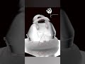 “Digital & Flat Sketch Handbag Design | Illustrator + CLO 3D”