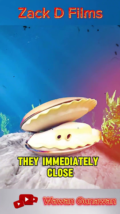 Guardian Clams: The Living Alarm System Underwater