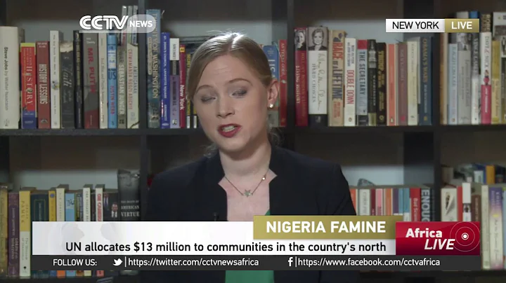 Aid agencies warn millions at risk of starvation in Nigeria