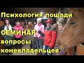 Лошадь ведёт себя плохо? Психология лошади. Семинар.