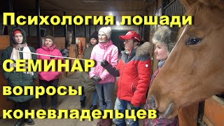 Лошадь ведёт себя плохо? Психология лошади. Семинар.