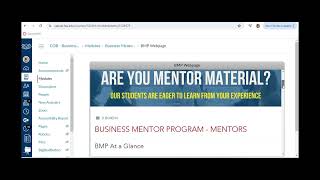 BMP Tutorial   Canvas Final