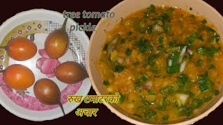 रुख टमाटरकाे चटनी ।।tree tomato pickle ...