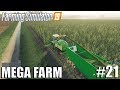 MEGA FARM Challenge | Timelapse #21 | Farming Simulator 19