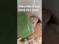 Am I cute ?