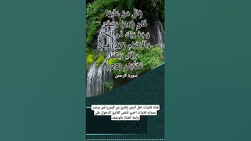 سورة الرحمن 26 الى 28