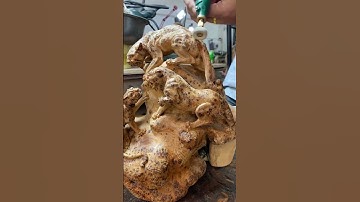 #shorts chế tác tượng báo #doantuonggo #tuonggodocdao #dogodocdao