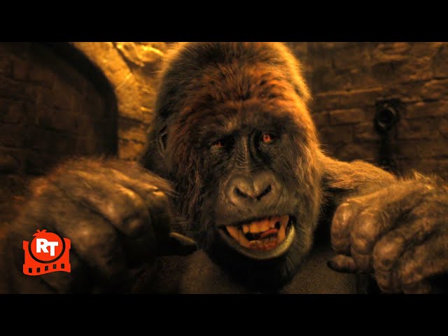 ゴリラGO！ Dolittle (2020) - Gorilla vs. Tiger - YouTube