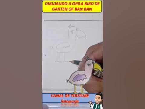 Cómo DIBUJAR a BABY🦩 OPILA BIRD de GARTEN of BANBAN 2 / How to