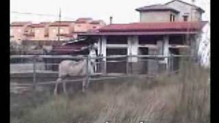 VENTA CASA EN VALBONA