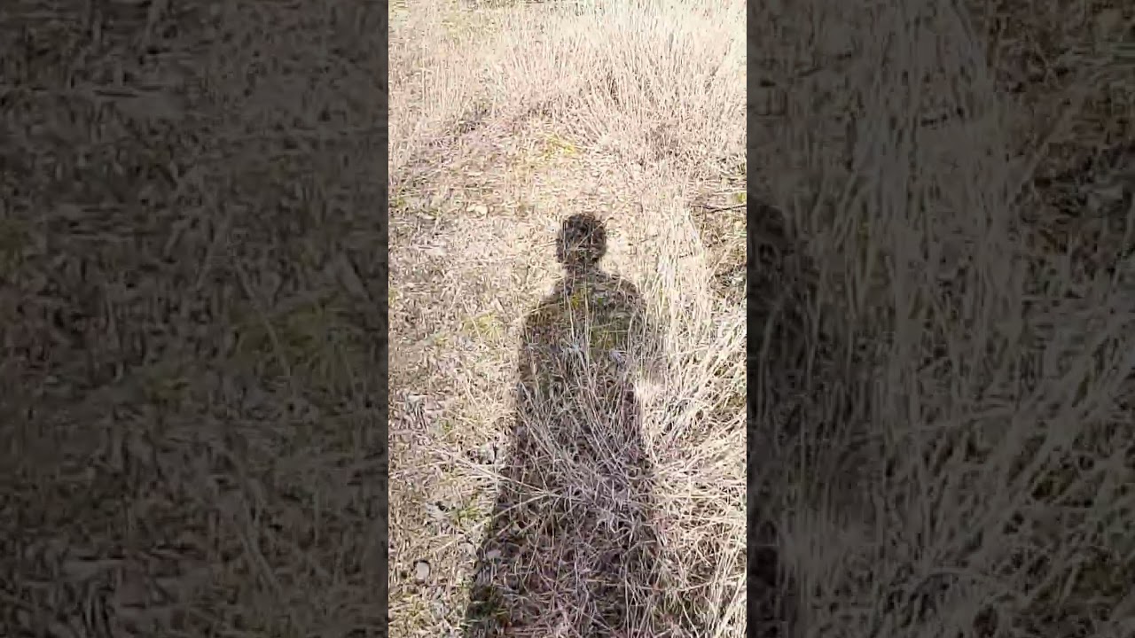 В попутной с дедушкой гуляли по урупу